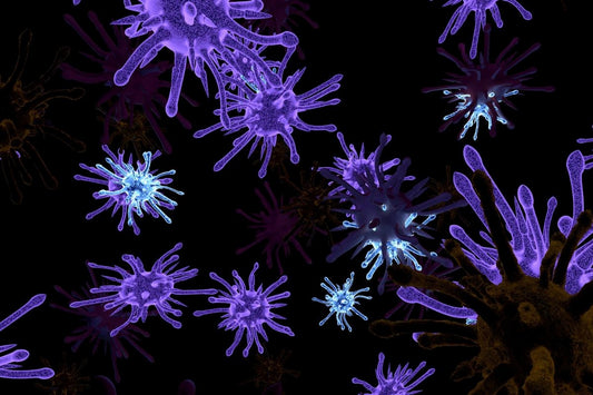 Germs on Public Surfaces | How to Protect?